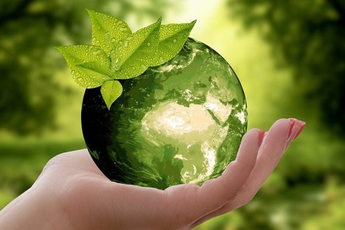 Zapraszamy do konkursu ekologicznego z okazji Dnia Ziemi